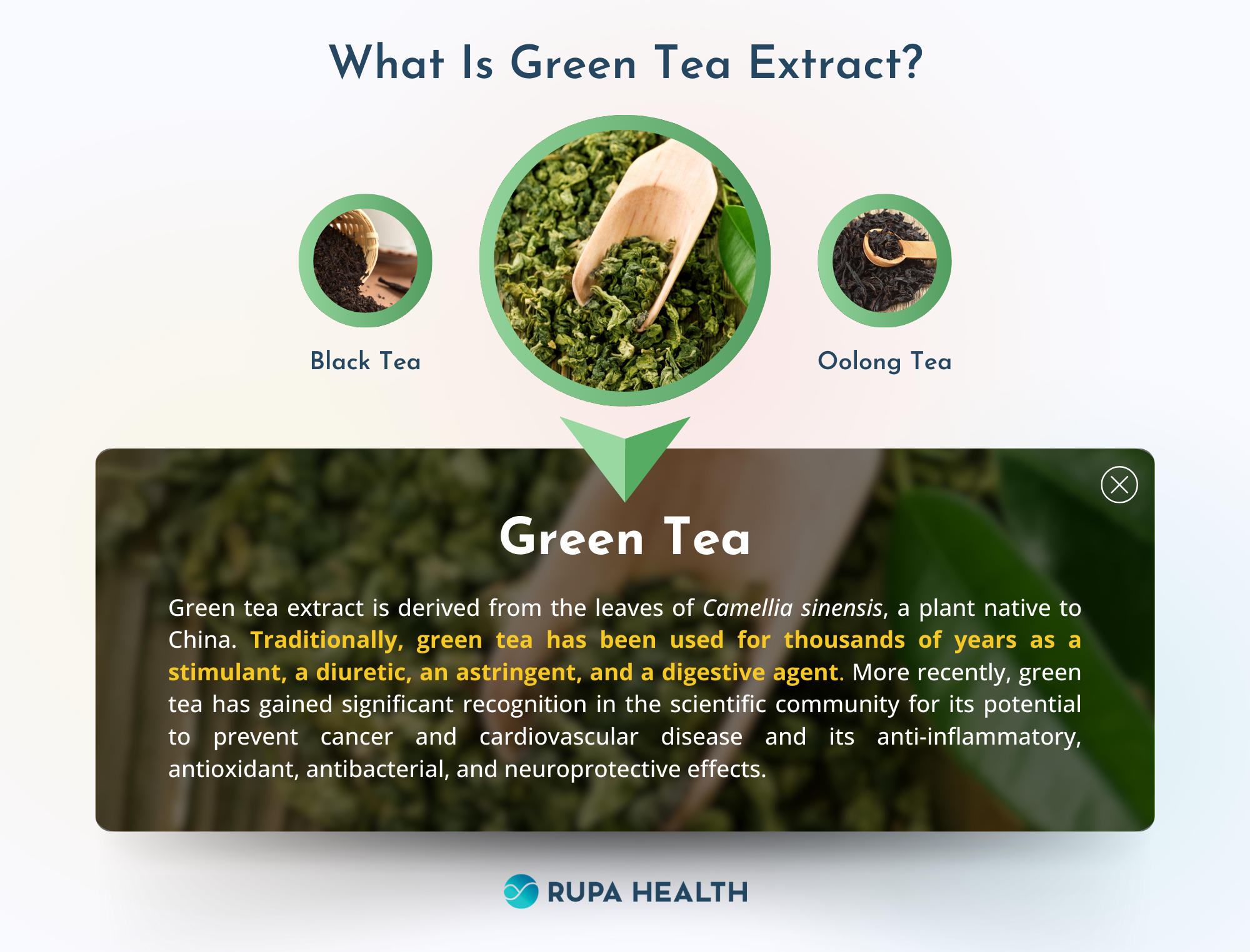 The Role of Green Tea Extract in Metabolic Syndrome Management